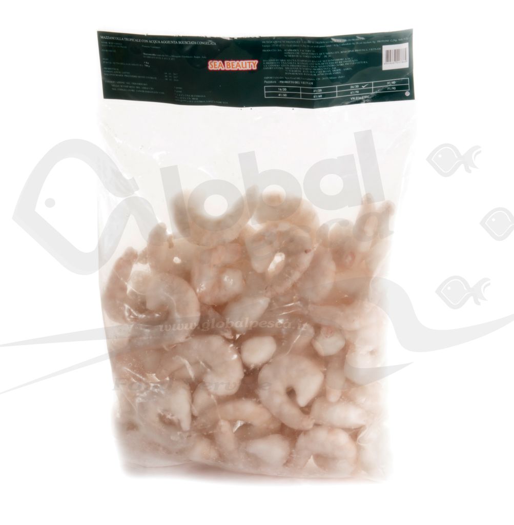 MAZZANCOLLA TROP ECUADOR CODE SGUSC 51/60 #