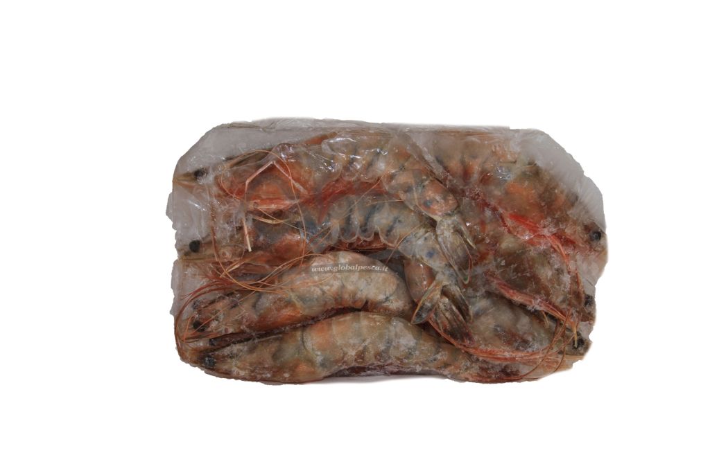 MAZZANCOLLA TROP ECUADOR U/7 700g