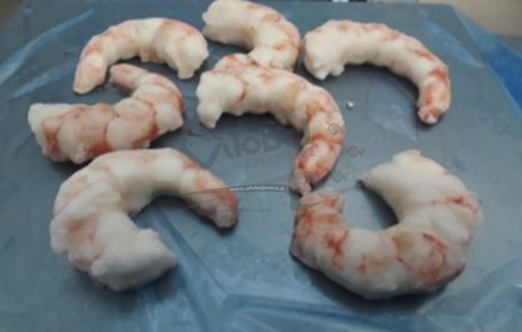 GAMBERO ARGENTINO CODE SGUSC DEVEN 16/20 10 kg