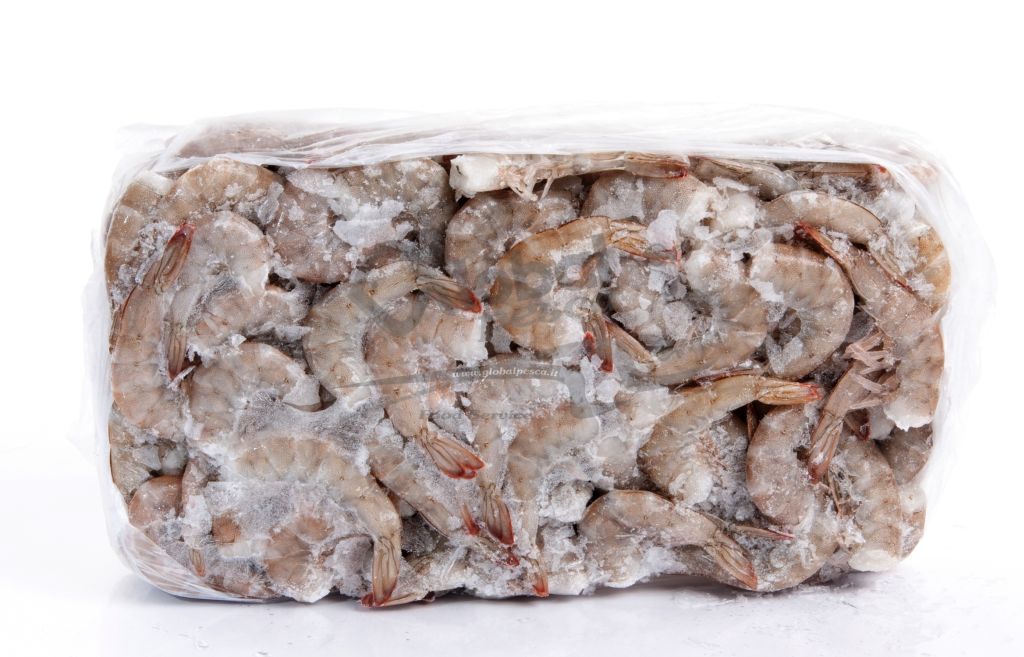 MAZZANCOLLA TROP ECUADOR CODE 41/50 RC