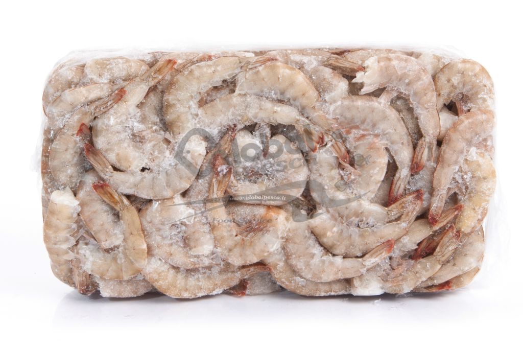 MAZZANCOLLA TROPICALE CODE 36/40 RC