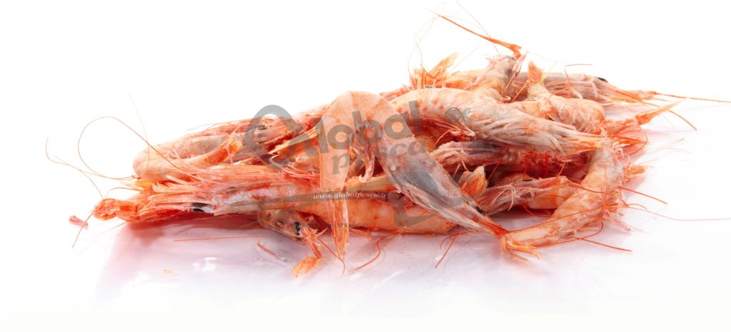 GAMBERO GOBBETTO SICILIA CO