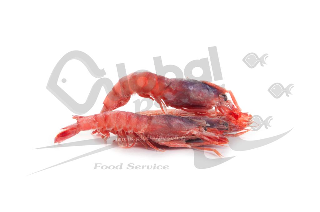 GAMBERO VIOLA SICILIA 1 CO