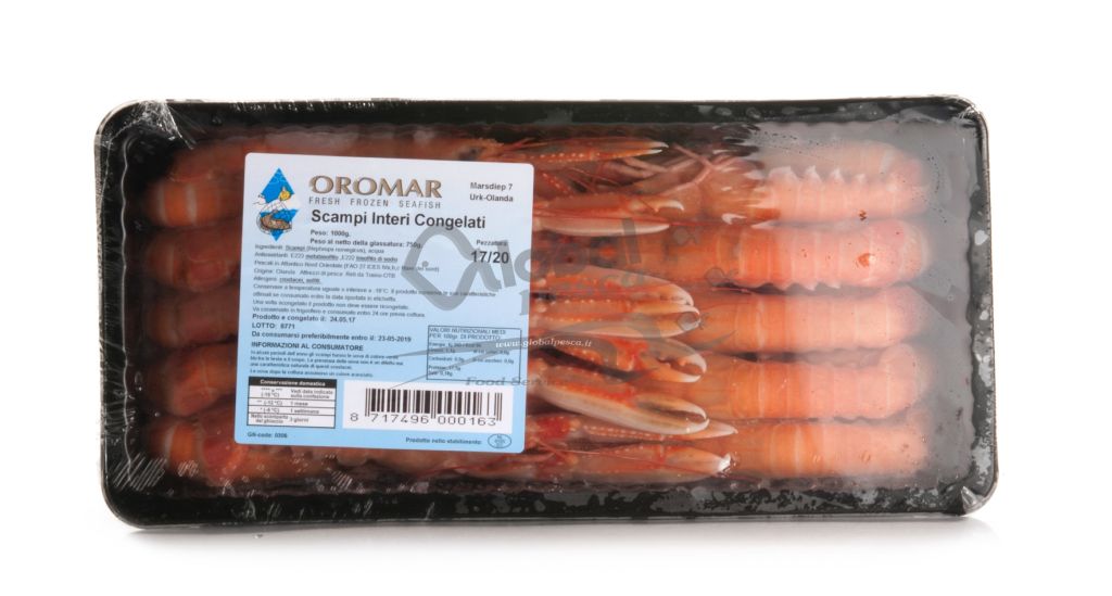 SCAMPO INTERO 17/20 OLANDA