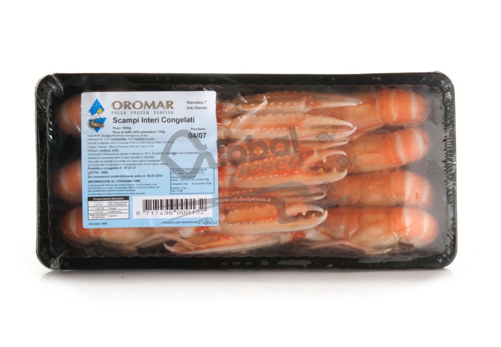 SCAMPO INTERO 4/8 OLANDA