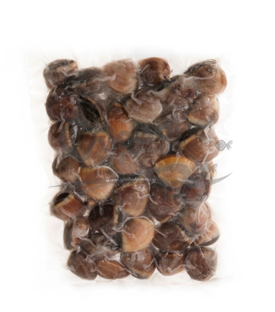 VONGOLA DEL PACIFICO SCURA PRECOTTA