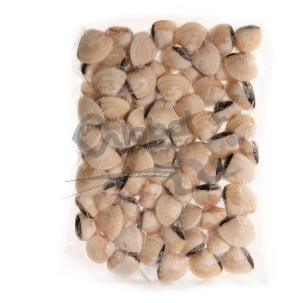 VONGOLA DEL PACIFICO BIANCA #