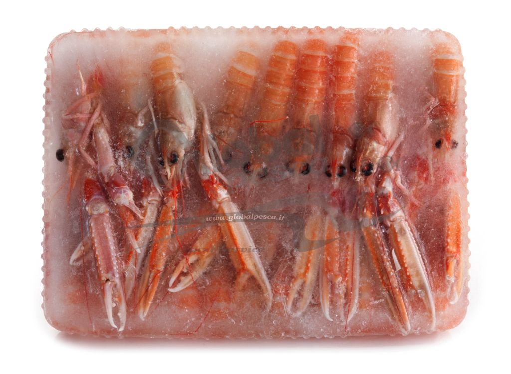 SCAMPI EXTRA SICILIA 1 CO