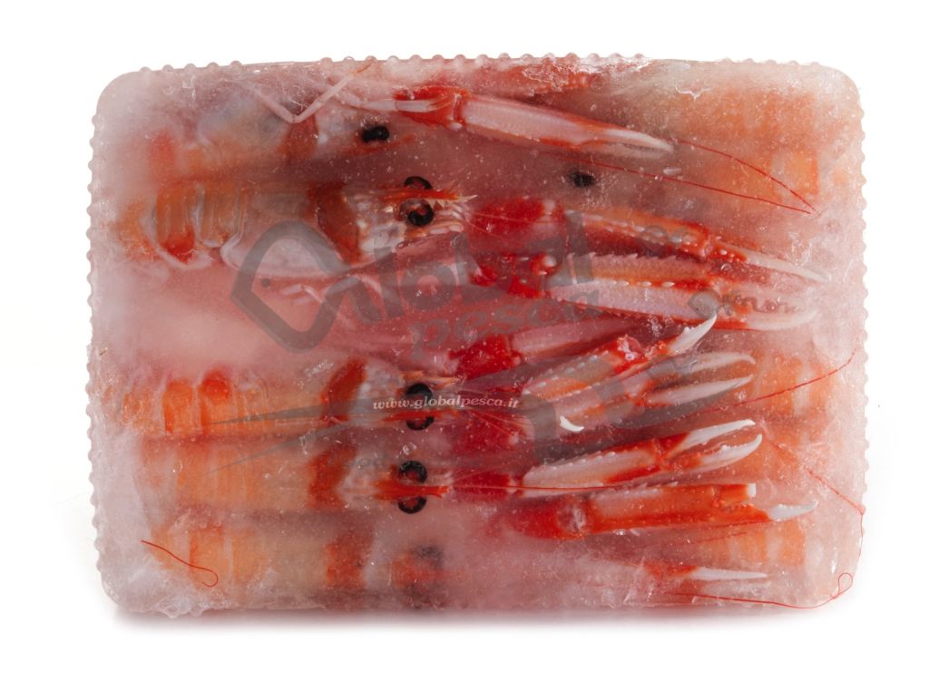 SCAMPI EXTRA SICILIA 2 CO