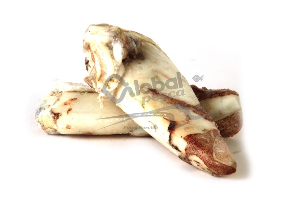 CALAMARO MAROCCO 16/20  3P IQF