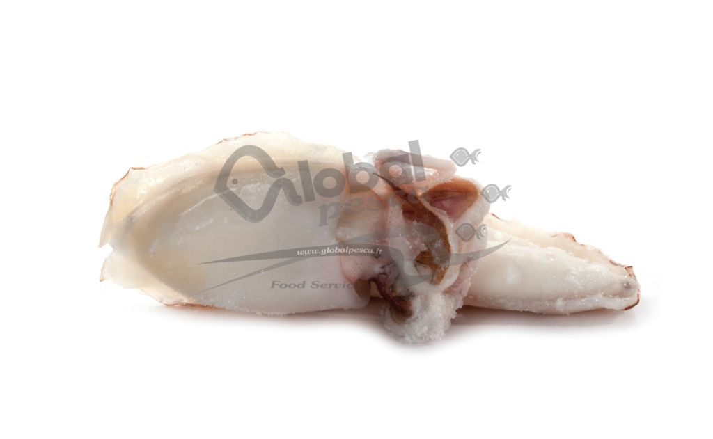 SEPPIA MAROCCO 200/300 IQF 7kg