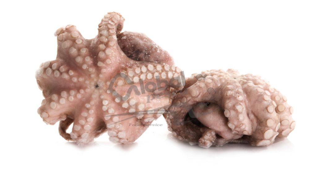 POLPO MAROCCO T7 500-800g IQF