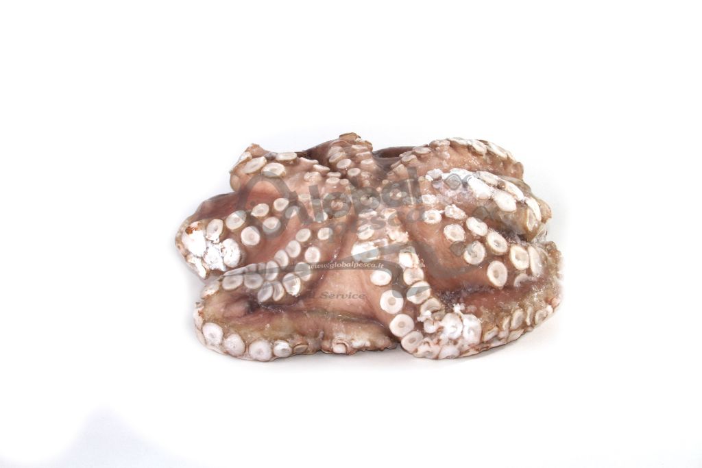 POLPO MAROCCO T1 4-5kg IQF