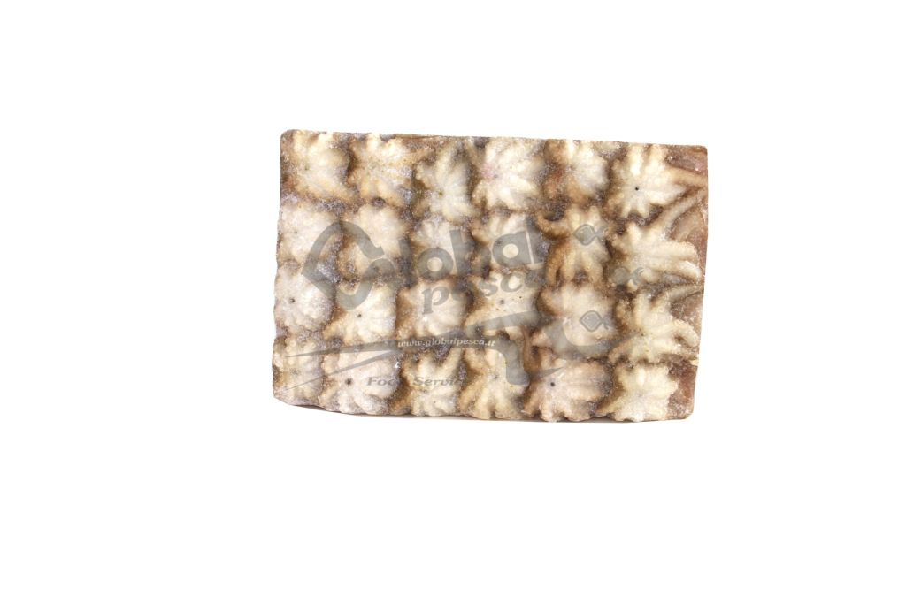 POLPO INDOPAC (POLIPETTO) 20/40  PLATINUM