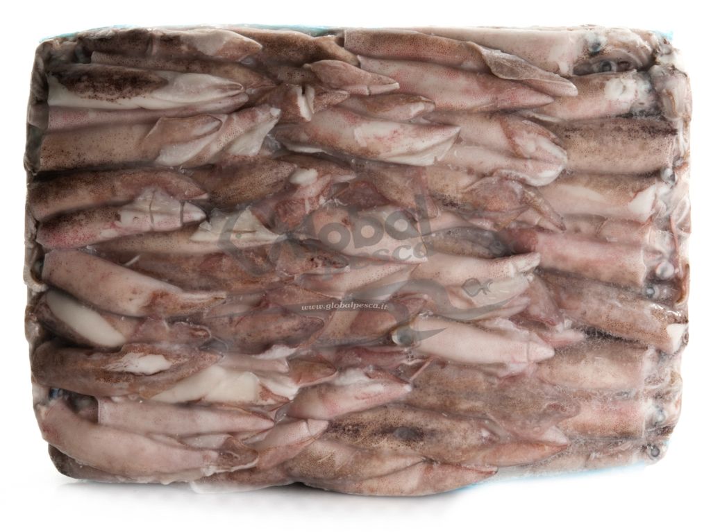 CALAMARO PATAGONICO C4 10/13 x 5 kg