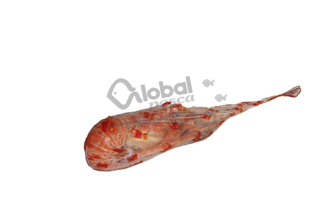 ARAGOSTA TROPICALE COTTA 860-1100 CUBA