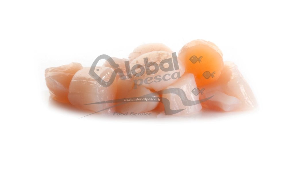 CAPPASANTA POLPA SENZA CORALLO