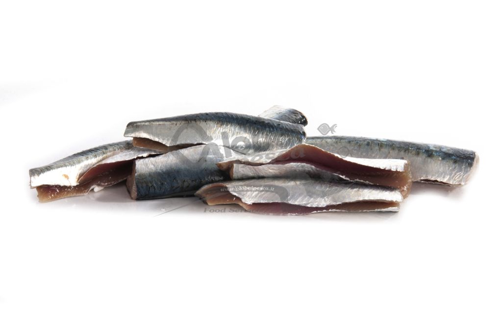 SARDINA FILETTO FR