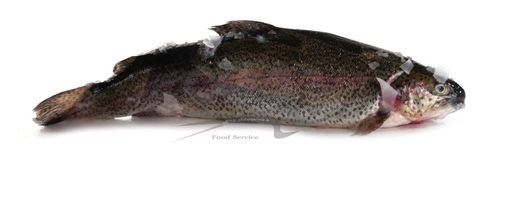 TROTA IRIDEA SALMONATA EVISCERATA FR