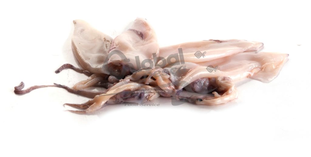 CALAMARO PATAGONICO C4L PULITO DECONGELATO