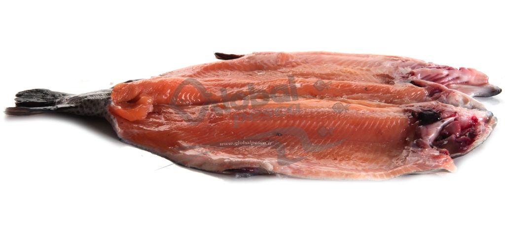 TROTA IRIDEA SALMONATA SPACCATA CON TESTA FR