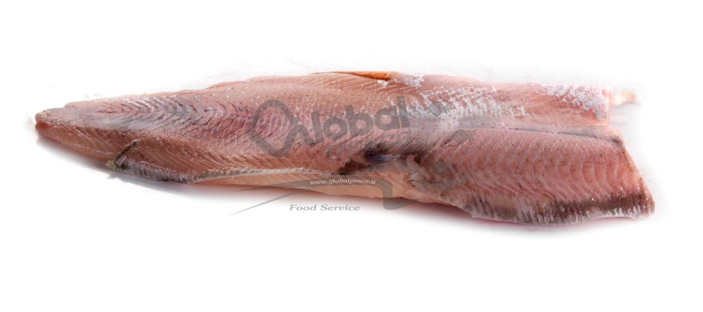 SALMERINO ALPINO FILETTO SENZA PELLE 100/130 g FR