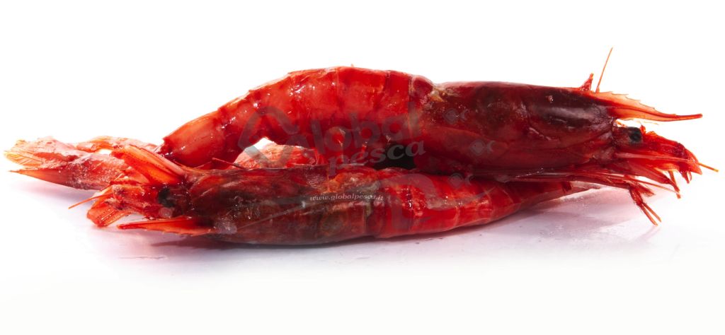 GAMBERO ROSSO 1 EXTRA SICILIA DECONGELATO