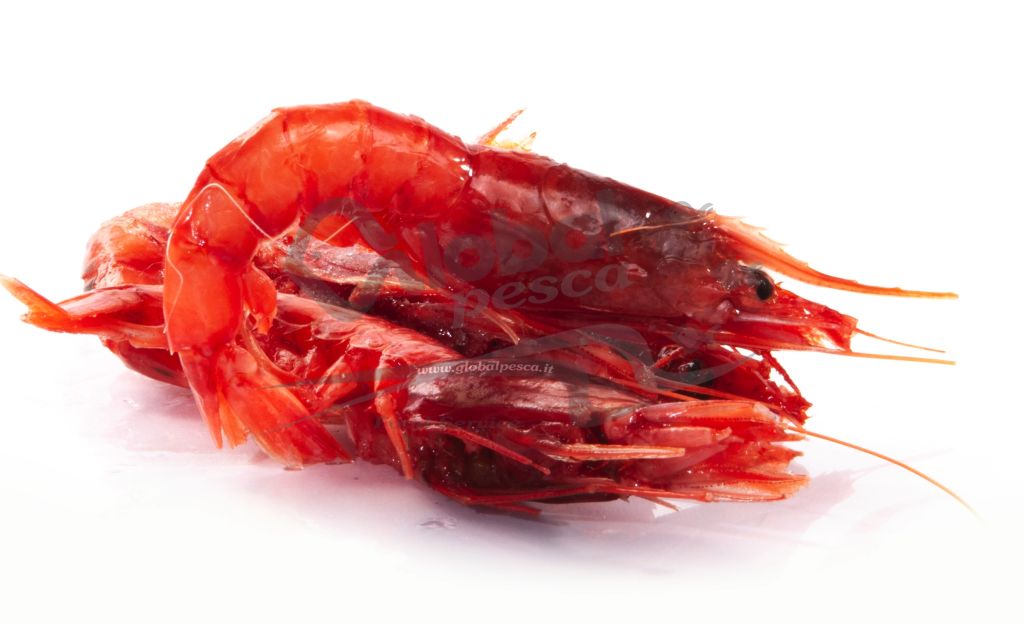 GAMBERO ROSSO 3 EXTRA DECONGELATO